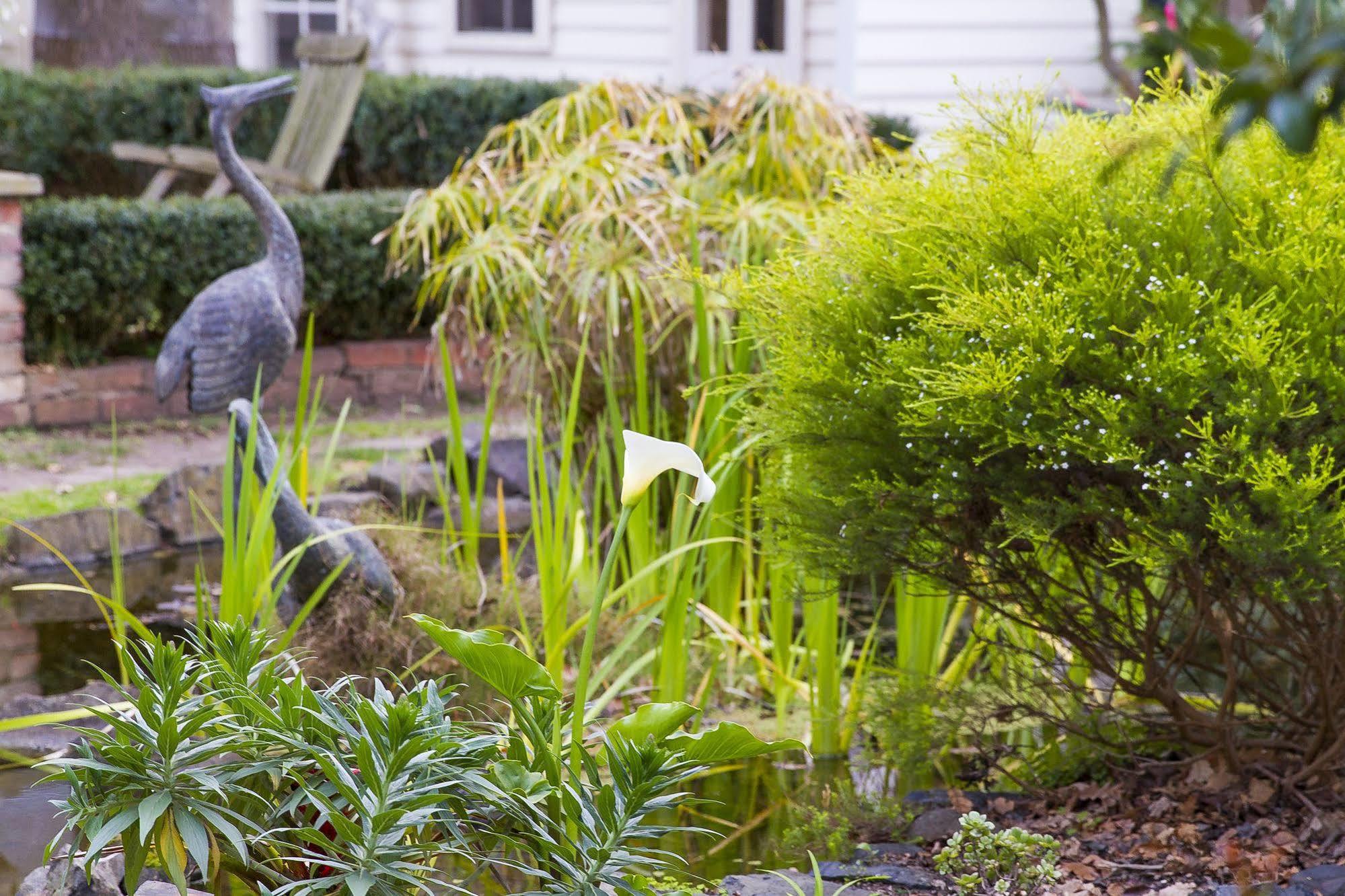 Glen Isla House Bed & Breakfast Phillip Island Cowes Dış mekan fotoğraf